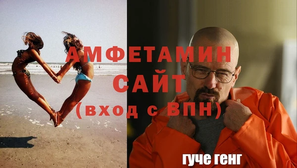 прущий лед Бородино